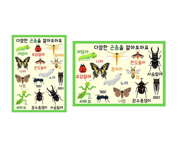 다양한 곤충