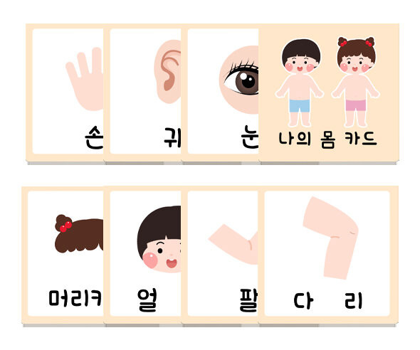 나의 몸 카드