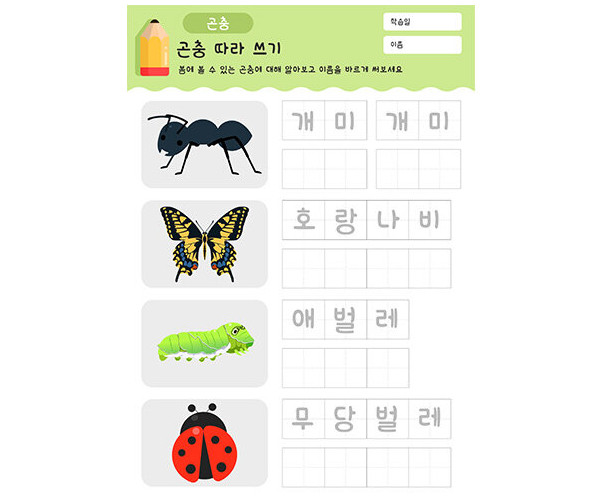 곤충 따라 쓰기