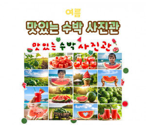 맛있는 수박 사진관