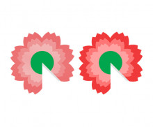 이미지