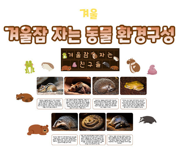 겨울잠 자는 동물 환경구성