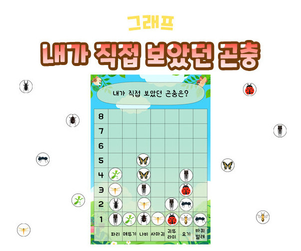 내가 직접 보았던 곤충 그래프