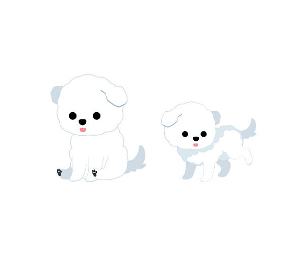 강아지(말티즈)