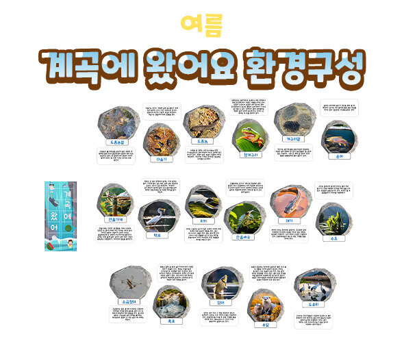 계곡에 왔어요 환경구성