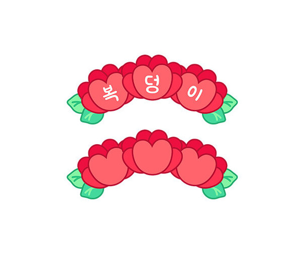 카네이션 머리띠
