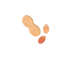 땅콩