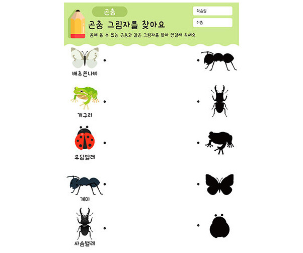 곤충 그림자를 찾아요