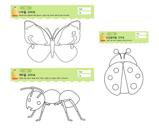 곤충을 꾸며요