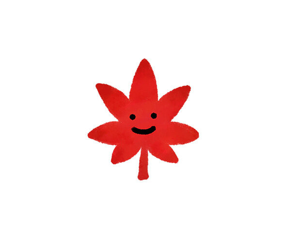 단풍잎