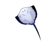 이미지