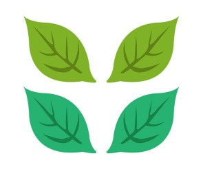 잎사귀