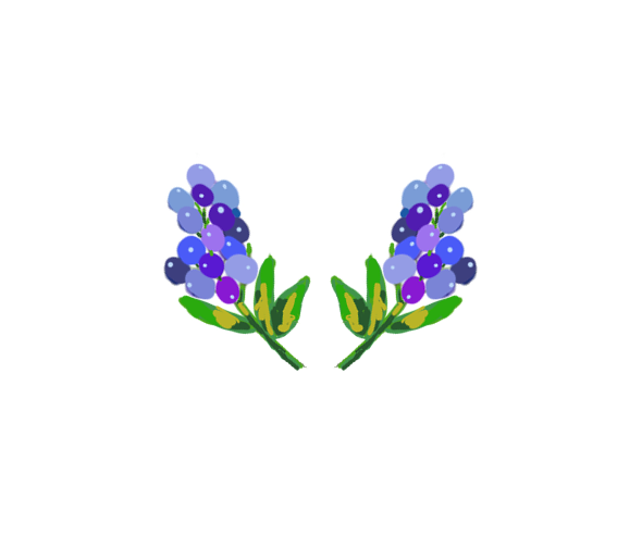 꽃
