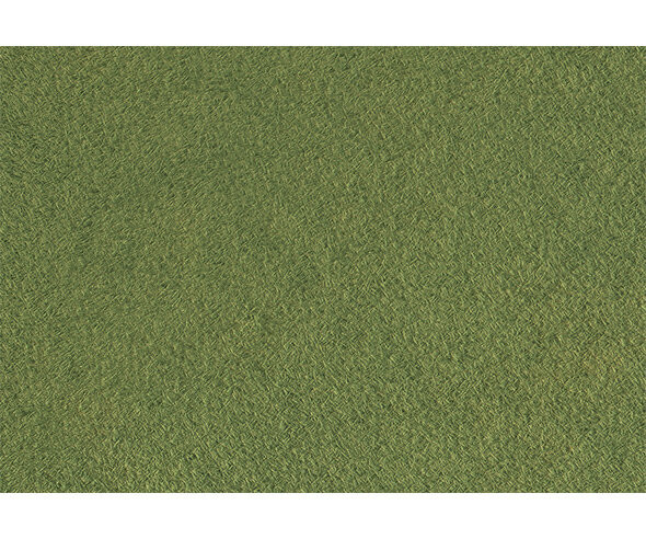 잔디 배경