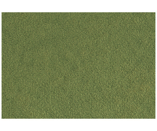 잔디 배경