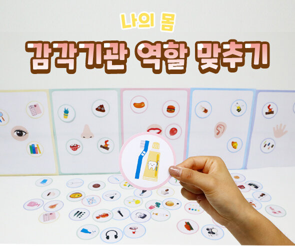 감각기관 역할 맞추기