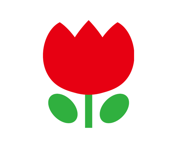 튤립