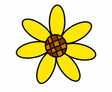 이미지