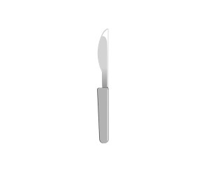 메스