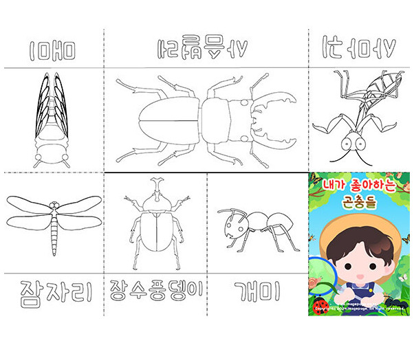 내가 좋아하는 곤충 사전