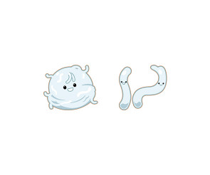 천사채