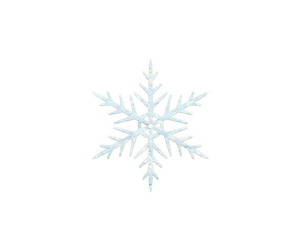 눈 결정(눈꽃)