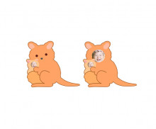 이미지