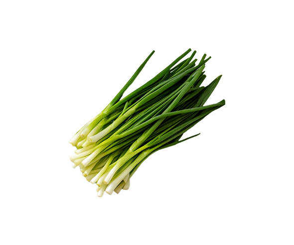 쪽파