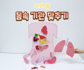 몸속 기관 맞추기