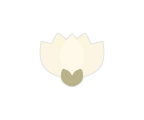 목련
