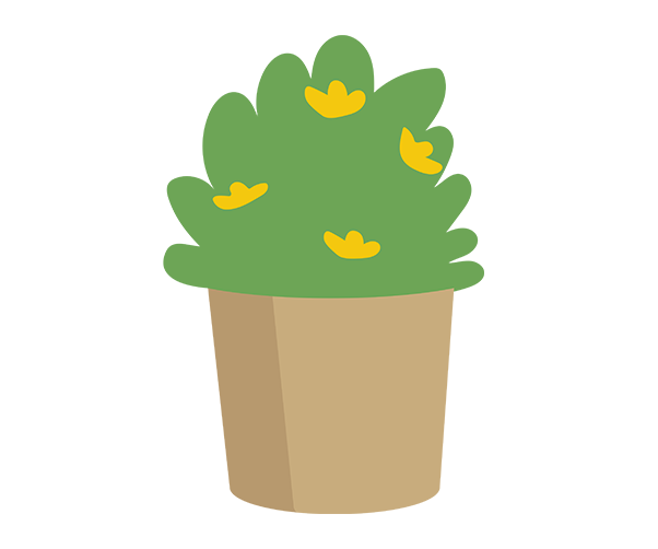 꽃