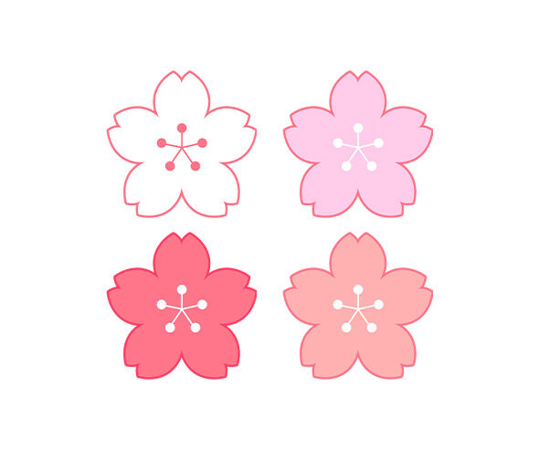 벚꽃