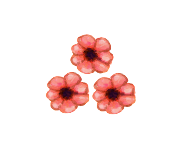분홍꽃