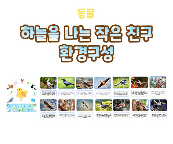 하늘을 나는 작은 친구 환경구성