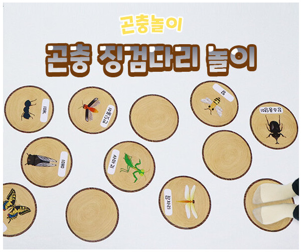 곤충 징검다리 놀이