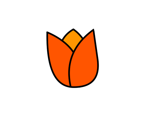 튤립