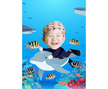 이미지