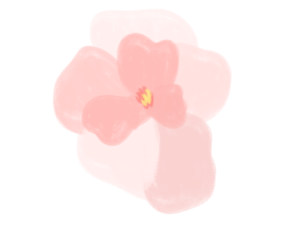 꽃