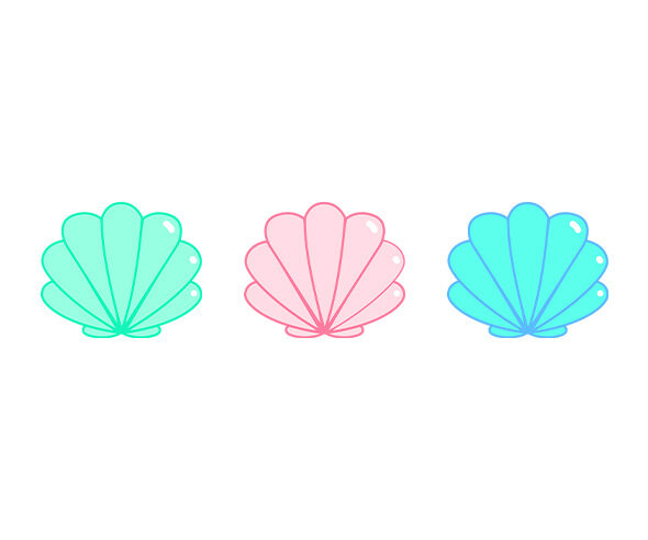 조개