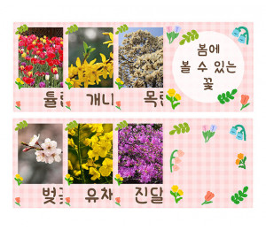 봄에 볼 수 있는 꽃 카드