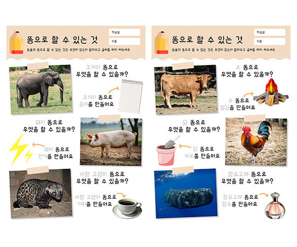 똥으로 할 수 있는 것