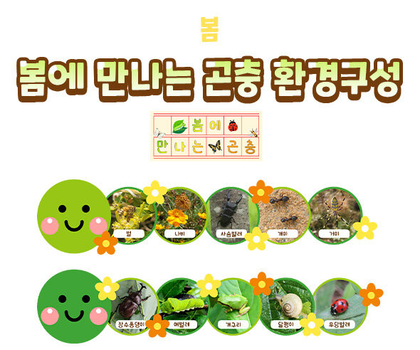 봄에 만나는 곤충 환경구성