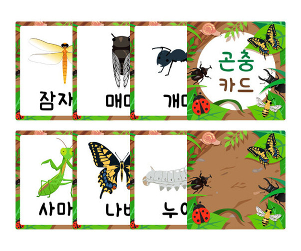 다양한 곤충 카드