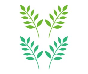 잎사귀