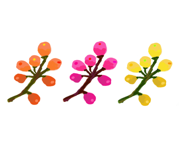 꽃