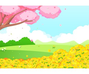 유채꽃밭 배경