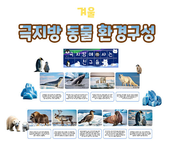 극지방 동물 환경구성