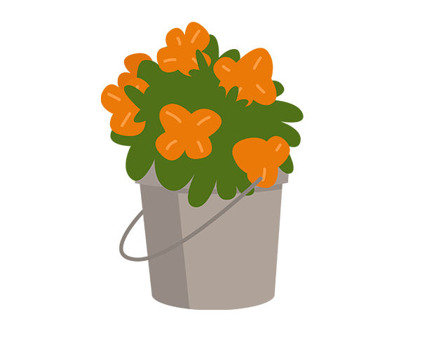 꽃