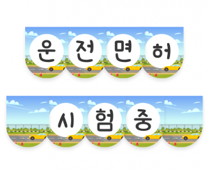 운전 면허 시험 중 가랜드