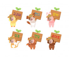 이미지